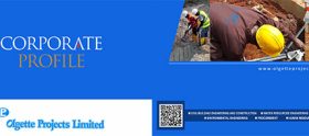 Olgette Projects Ltd. Company Profile